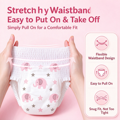 Dog Physiological Diapers 10Pcs