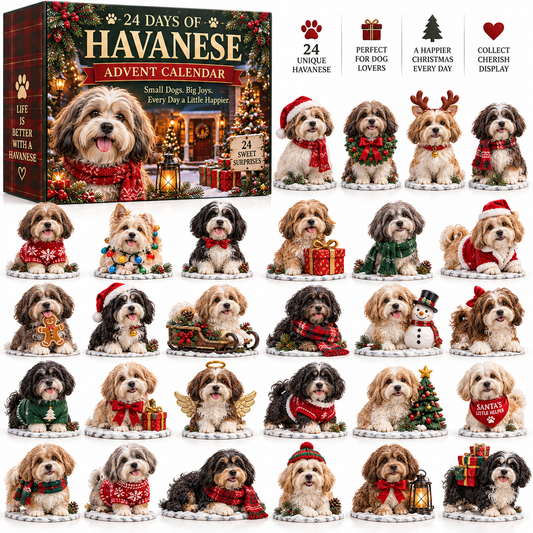 24 Days of Havanese Joy – A Christmas Collection for Havanese Lovers🐾🎄
