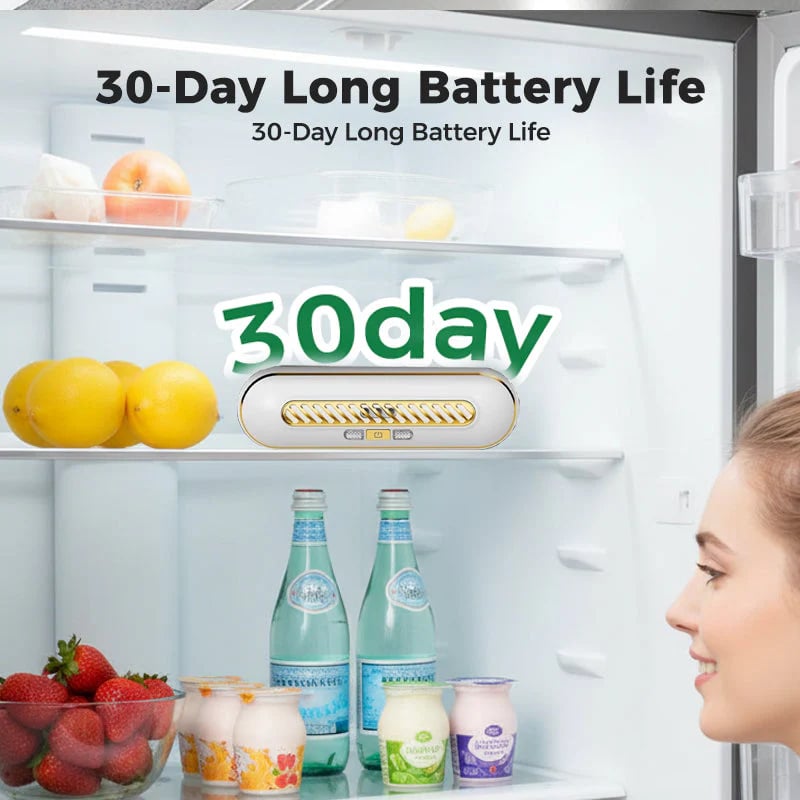 🧊 Rechargeable Portable Fridge Sterilizer