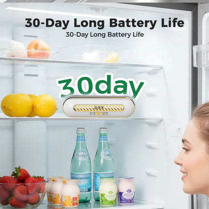 🧊 Rechargeable Portable Fridge Sterilizer