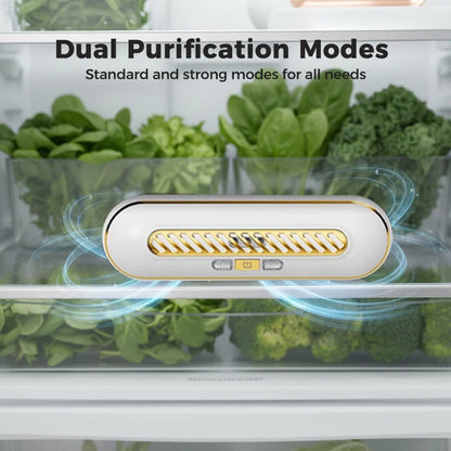 🧊 Rechargeable Portable Fridge Sterilizer
