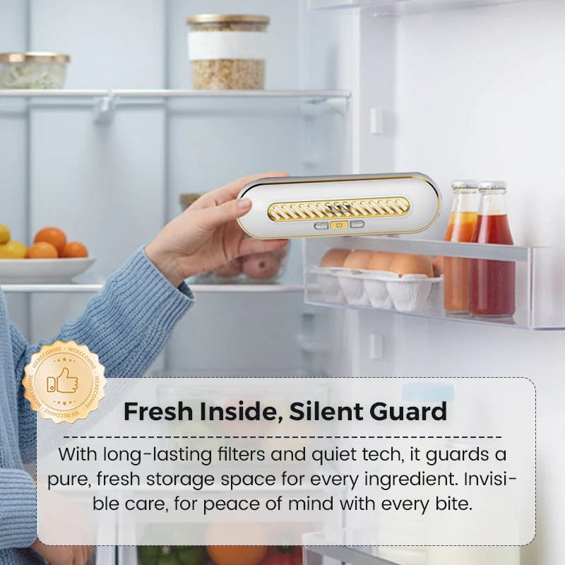 🧊 Rechargeable Portable Fridge Sterilizer