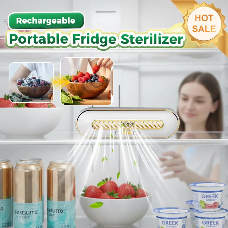 🧊 Rechargeable Portable Fridge Sterilizer