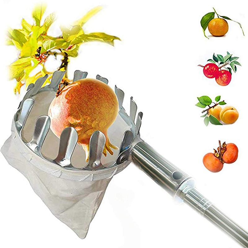 Fruit Picker with Collection Basket – product image