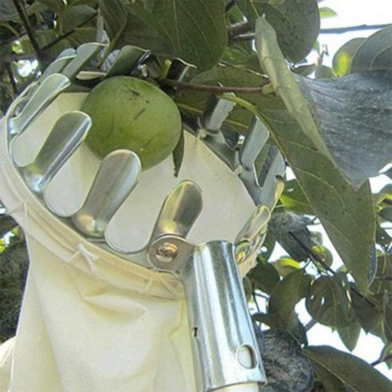 Fruit Picker with Collection Basket – product image