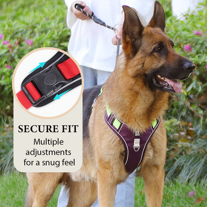 No Pull Dog Harness with Leash & Collar LED